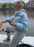 Casual Blue Stand Collar Long Sleeve Short Padding