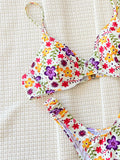 Toloer Single Swimsuit 2024 Print Sexy Bikini Ladies Split Swit Strip Steel Tobiini D738K-Outfit