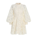 TWOTWINSTYLE Vintage Embroidery Dress For Women Stand Collar Lantern Sleeve High Waist Solid Mini Dresses Female Spring