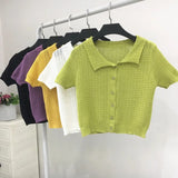Sweater Women's 2024 Summer Korean Version Of Single-Breasted Polo Collar Knitted T-Shirt Short Style Short-Sleeved Blouse-Outfit