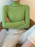 High Neck Jumper Knit Top-Outfit