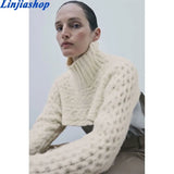 2020 Fashion Arm Warmers Cropped Cable Knitted Sweater Vintage High Neck Long Sleeve Female Pullovers Chic