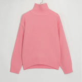 Wixra Basic Turtleneck Sweaters Women Pullover Jumper New Korean Chic Fashion Autumn Winter Ladies Solid Knitwear