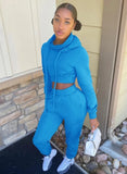 Casual Plain Long Sleeve Crop Hoodie And Sweatpants Two Piece