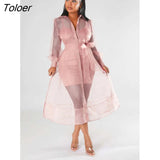 Sexy European and American Hip Dresses Fall 2023 Mesh Long Sleeve Suit Dress Fashion Temperament Fashion Women's