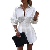 Office Lady Mini Dress for Women Long Sleeve Lantern Sleeve Shirt Dress Button Spring Autumn Female Fahion Dress