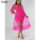 Sexy European and American Hip Dresses Fall 2023 Mesh Long Sleeve Suit Dress Fashion Temperament Fashion Women's