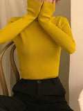 High Neck Jumper Knit Top-Outfit