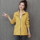 Windbreaker 2021 Autumn New Korean Wild Stand-Collar Short Jacket Female Student Windbreaker Coat Lining Plus Size