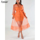 Sexy European and American Hip Dresses Fall 2023 Mesh Long Sleeve Suit Dress Fashion Temperament Fashion Women's