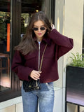 Autumn Fashion Wine Red Big Pocket Zipper Hair Coat Women's Clothing
