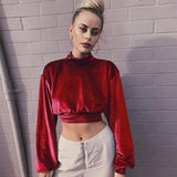 Velvet Sweatshirt Women Autumn Winter 2021 Streetwear Long Sleeve Turtleneck Pullover Cropped Hoodie Woman Red Blue Loose