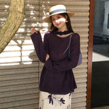 Xixi 13 Lines 2025 Spring New Ins Temperament Elegant Round-Neck Wool Knit Sweater Sweater Female