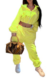 Casual Hoody Crop Top and Pants Matching 2PC