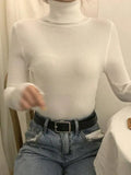 High Neck Jumper Knit Top-Outfit