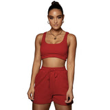 Yoga Wear Multicolor Solid U-Neck Top And Shorts Two-Piece
