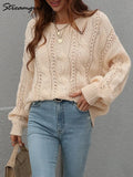 Sweater Oversize Women 2022 Winter Clothes Knitted Pullover Loose Blue Sweater For Women Pull Women's Sweaters