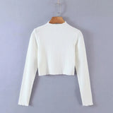 spring and autumn women's clothing new simple temperament goddess solid color round neck long sleeve