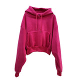 Suit Winter Spring Solid Casual Tracksuit Women Fleece 2 Pieces Set Sports Sweatshirts Pullover Home Sweatpants