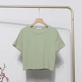 Solid Short-Sleeved T-Shirt Burst Small Short Sweet Spicy Slim Slim Thin Collar Top