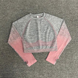 Outdoor Two Piece Set Women Long Sleeve Crop Top Sport Leggings Tracksuit Fitness Gym Suits For