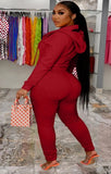 Plus Size Zipper Hoodies and Pants 2 Piece