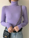 High Neck Jumper Knit Top-Outfit