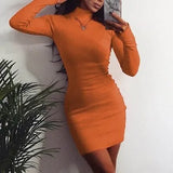 Winter Solid Dress Women Sexy Night Club Bodycon Turtleneck Warm Solid Color Dress Tight buttocks Mini Dress Size
