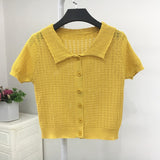 Sweater Women's 2024 Summer Korean Version Of Single-Breasted Polo Collar Knitted T-Shirt Short Style Short-Sleeved Blouse-Outfit