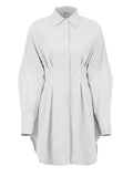 Pleated Womens Blue Dress Long Sleeve Spring Summer Bodycon Shirts Dress Office Ladies Turn Down Collar Mini