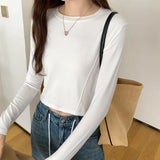Three-Dimensional Fishbone Round-Necked Blouse Women's Long-Sleeved Autumn And Winter New Minority Short Spicy Girls T-Shirt Ins-Outfit