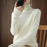 Turtleneck Sweater Cashmere Solid Knitted Pullover Tops Casual All-Match Long Sleeve Winter Thick Bottoming Shirt