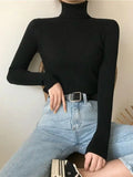 High Neck Jumper Knit Top-Outfit