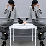 New Women's Autumn And Winter Large-Size Two-Piece Trouser Hair, Short Coat Broad Leg Pants Casual Fashion Suit Women's