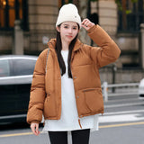 New Style Down Cotton Jacket Women's Winter Jacket-Outfit