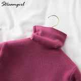 Warm Velvet Sweaters For Women Turtleneck Winter New Casual Basic Knitted Thicken Pullovers Sweater Fleece Women