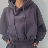 Suit Winter Spring Solid Casual Tracksuit Women Fleece 2 Pieces Set Sports Sweatshirts Pullover Home Sweatpants