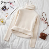 Warm Velvet Sweaters For Women Turtleneck Winter New Casual Basic Knitted Thicken Pullovers Sweater Fleece Women