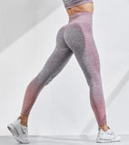 Outdoor Two Piece Set Women Long Sleeve Crop Top Sport Leggings Tracksuit Fitness Gym Suits For