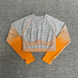 Outdoor Two Piece Set Women Long Sleeve Crop Top Sport Leggings Tracksuit Fitness Gym Suits For