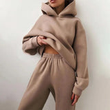 Women Fleece Sweatshirts Two Piece Set Elegant Solid Suits Hoodies Autumn Winter Oversized Pullover Sweatshirts