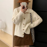 Waxy Twist Turtleneck Cardigan Women's Autumn And Winter New Korean Style Lazy Breeze Loose High Sense Knitted Coat-Outfit