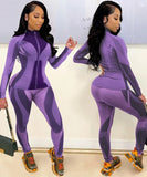 Contrast Fitting Long Sleeve Zipper