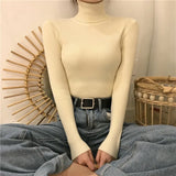 Solid Color Basic Versatile Turtleneck Sweater Thick Winter Long Sleeve Classic Knitted Bottoming Shirt Women Top