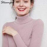 Women's Turtleneck Sweater Pullover Women Autumn Winter Pull Femme 2021 Winter Clothes Women Basic Warm Vintage Sweater