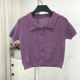 Sweater Women's 2024 Summer Korean Version Of Single-Breasted Polo Collar Knitted T-Shirt Short Style Short-Sleeved Blouse-Outfit