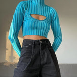 Casual Hollow out High neck Long Sleeve Crop