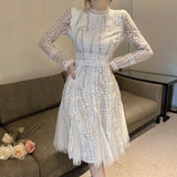 Fashion Ladies Embroidered Flower Dress Women O-Neck Elegant Vintage Dot Mesh Patchwork Lace Knee-length Dress