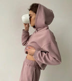 Autumn Winter Thickened Fleece Hooded Sweatshirt Women Loose Solid Warm Hoodies Female Casual Soft Pullovers 2021