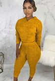 Two Piece Knitting Hoody Top and Pants